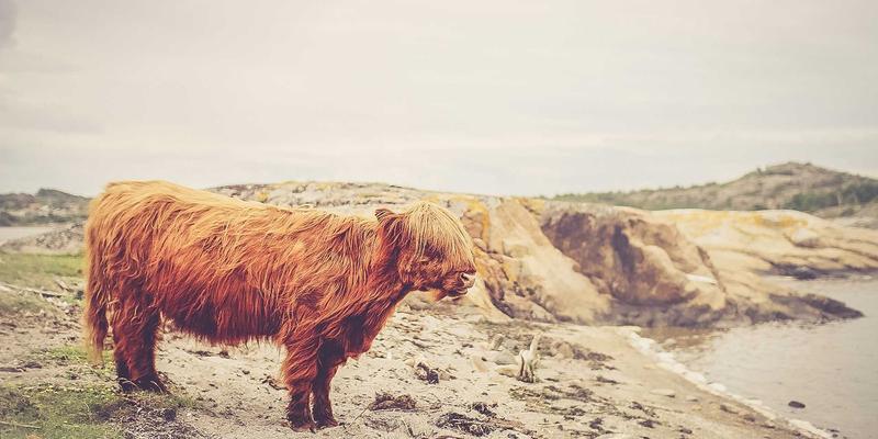 德拉科技实践指南：利用CI/CD管道实现网络配置即代码的自动化运维革命