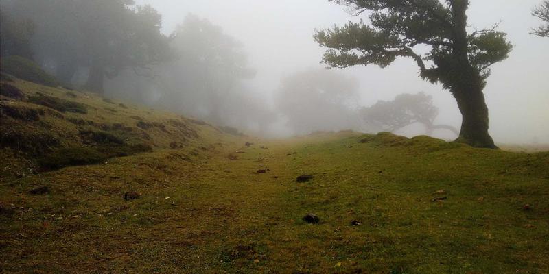 构筑安全边界：零信任网络架构(ZTNA)如何重塑远程办公时代的网站建设与移动应用安全