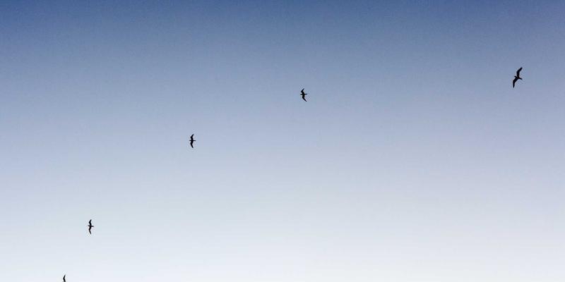 移动应用爆发与AI浪潮下，德拉科技解析400G/800G高速以太网如何重塑数据中心骨干网