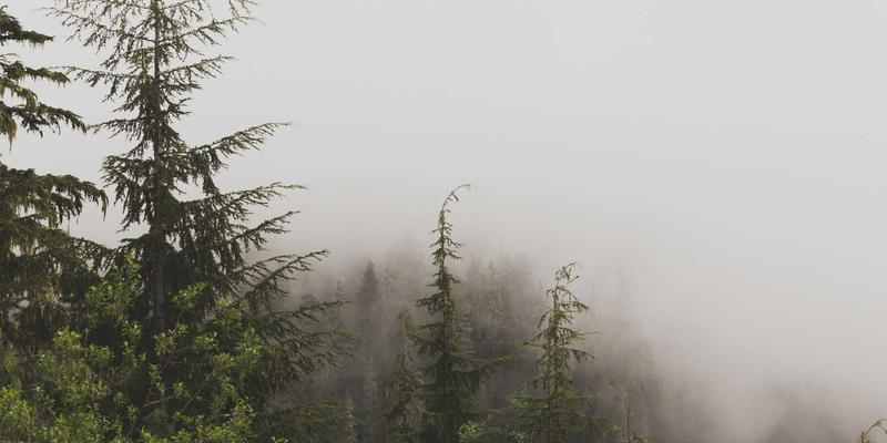 网络技术14：德拉科技如何引领软件开发与技术咨询新浪潮