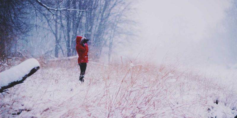 网络技术24：系统集成与移动应用如何重塑现代商业生态