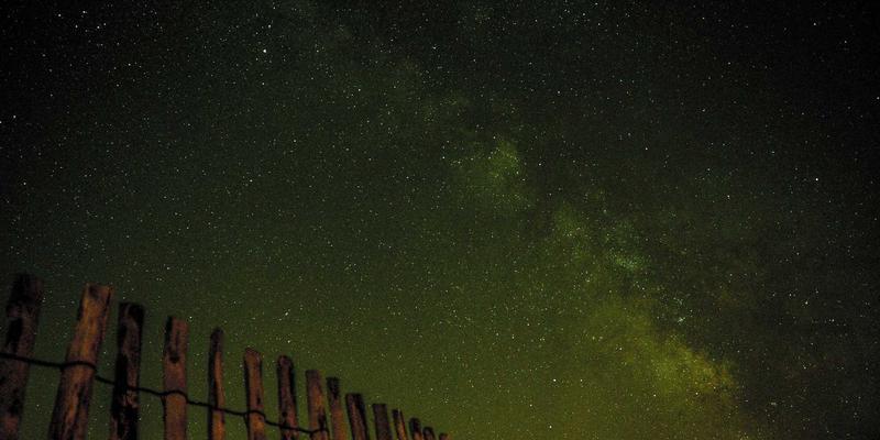 网络技术42：网站建设与软件开发如何重塑现代数字生态