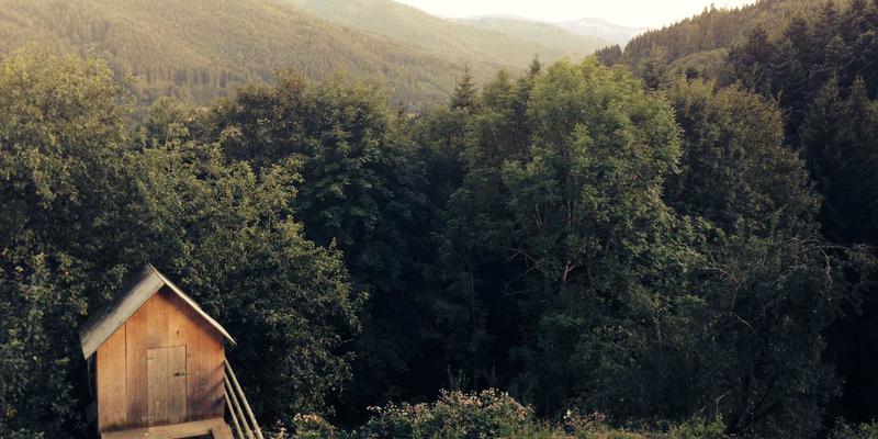 网络技术68：技术咨询如何赋能移动应用与软件开发新纪元