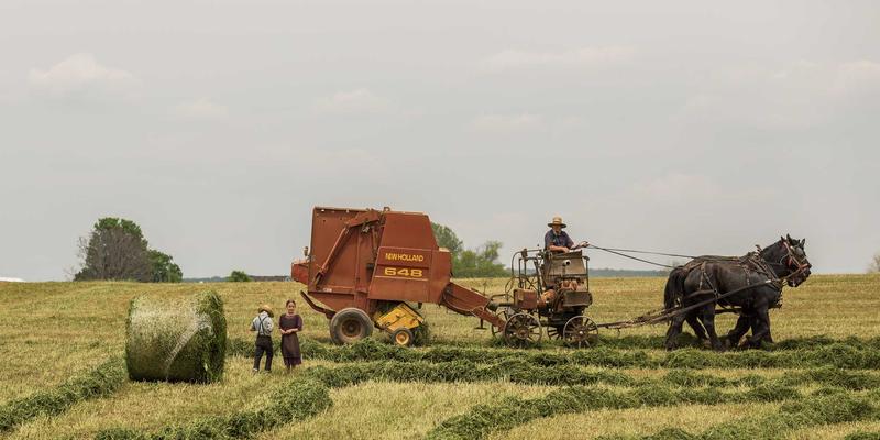 边缘计算与物联网(IoT)的网络协同技术发展趋势：技术咨询视角下的网络技术与网站建设新范式